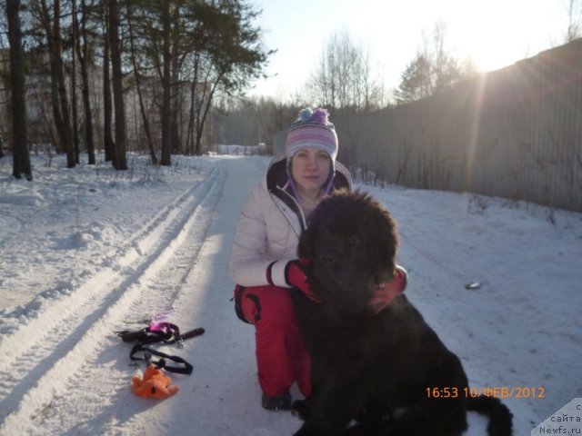 Фотография № 87239