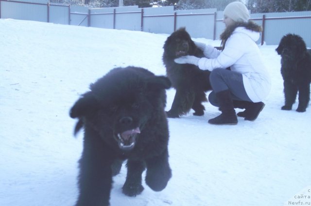 Фотография № 87240