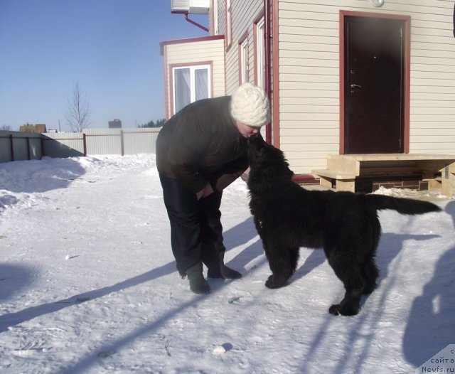 Фотография № 87246