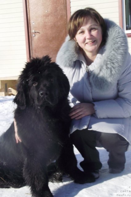 Фотография № 87248