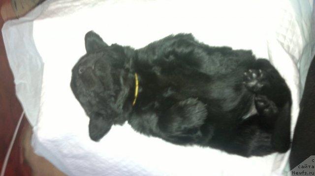 Фото: Анна Рогова