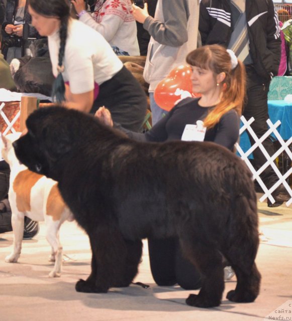 Фотография № 87269