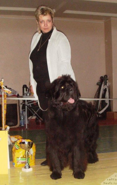 Фотография № 87283