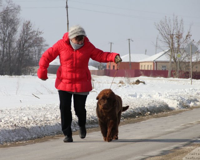 Фотография № 87286