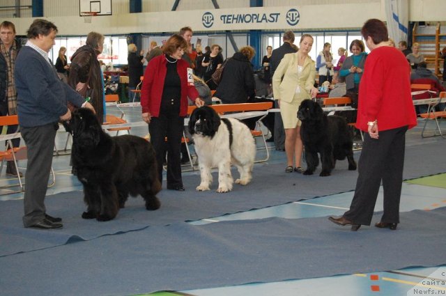 Фотография № 87295