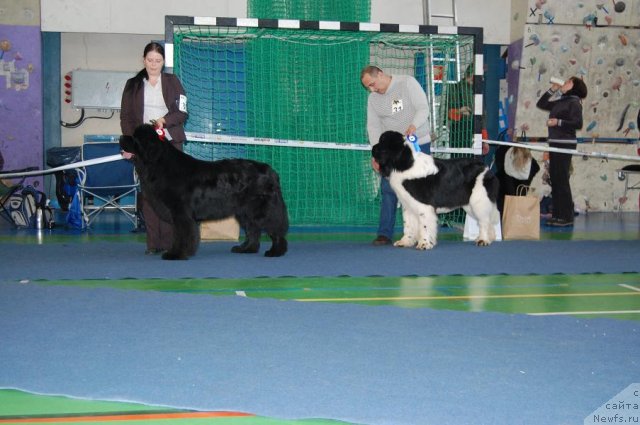 Фотография № 87296