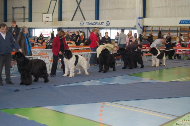 Фотография № 87298