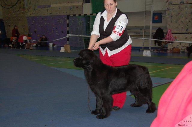 Фотография № 87302