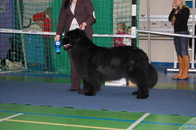 Фотография № 87303