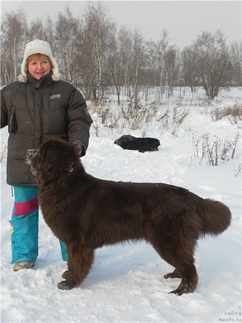 Фотография № 87305