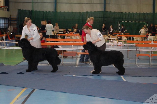 Фотография № 87307