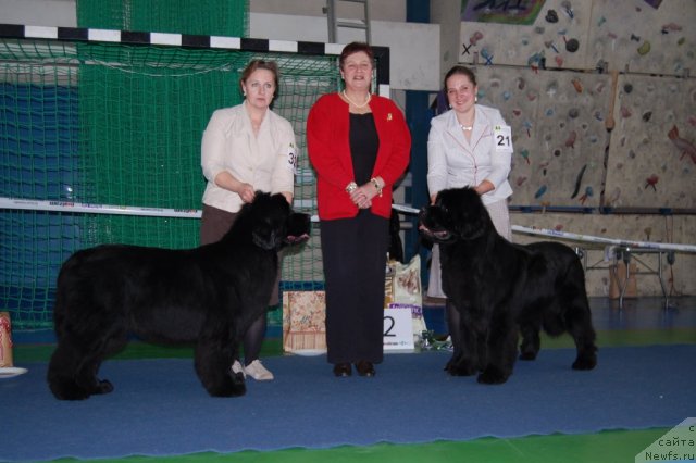 Фотография № 87308