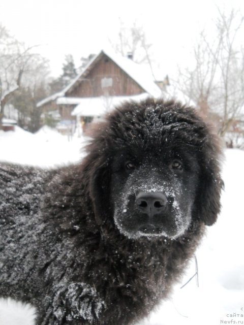 Фотография № 87339