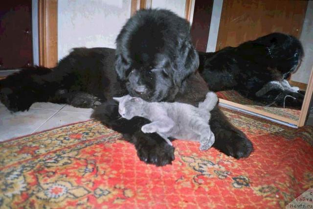 Фотография № 8734