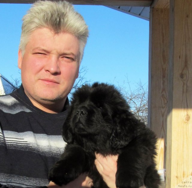 Фотография № 87344