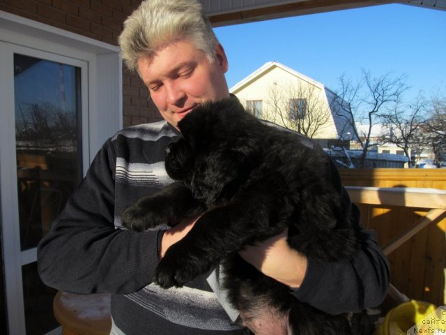 Фото: Донат Николаев