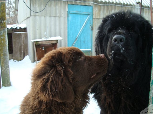 Фотография № 87350