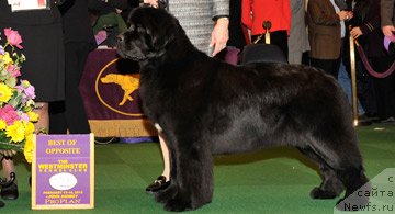 Фотография № 87400