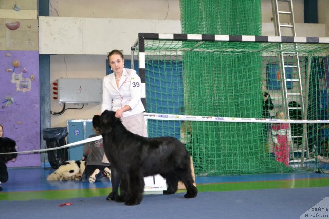 Фотография № 87402