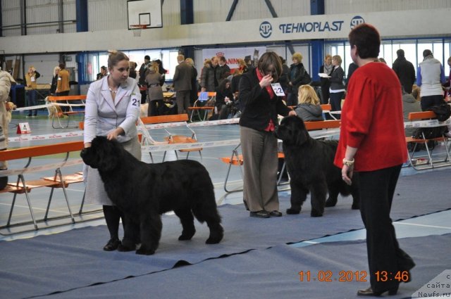 Фотография № 87403