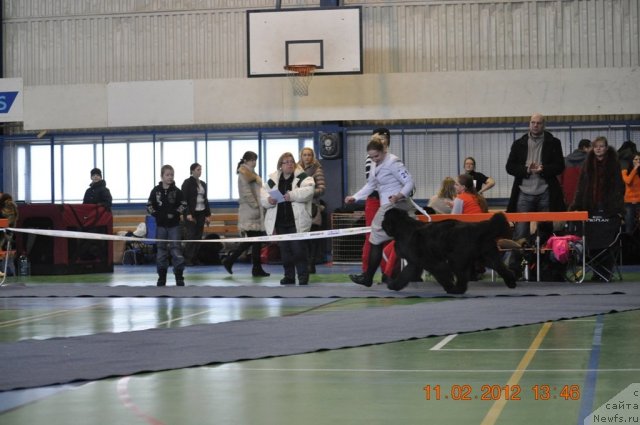 Фотография № 87404