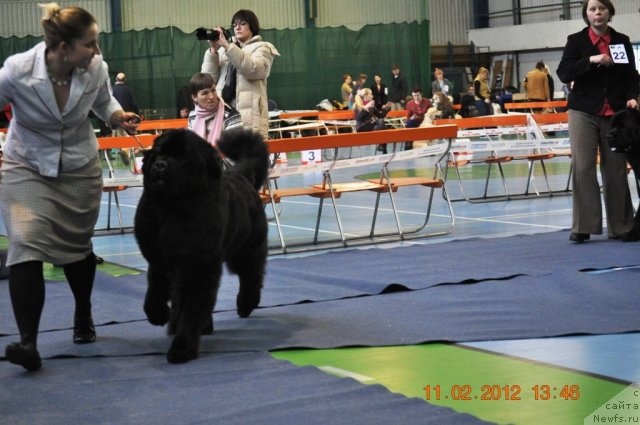 Фотография № 87406