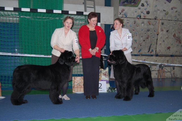 Фотография № 87407