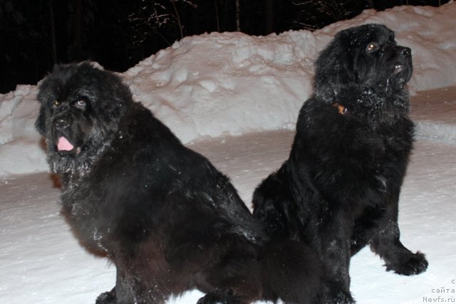 Фото: [d10660] и Омар Шериф