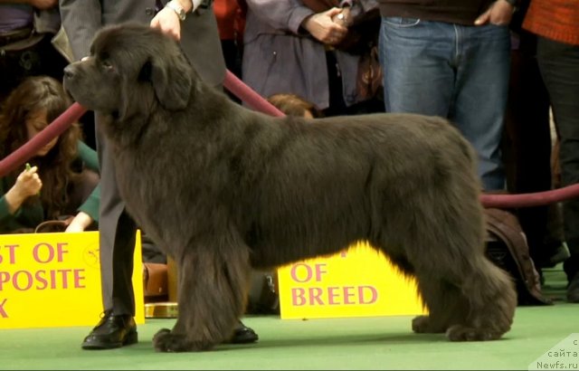 Фотография № 87420