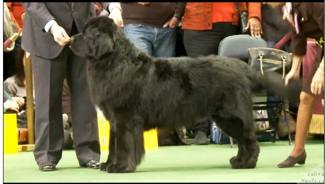 Фотография № 87425