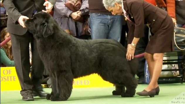 Фотография № 87427