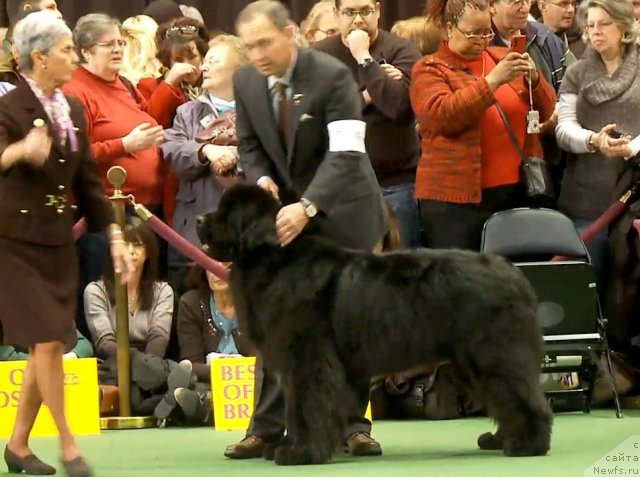 Фотография № 87431