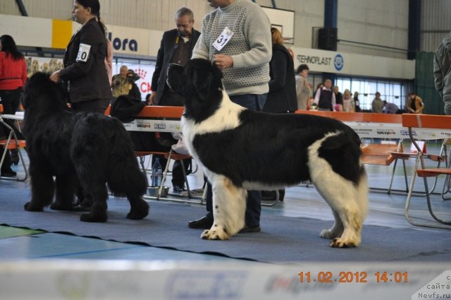 Фотография № 87466