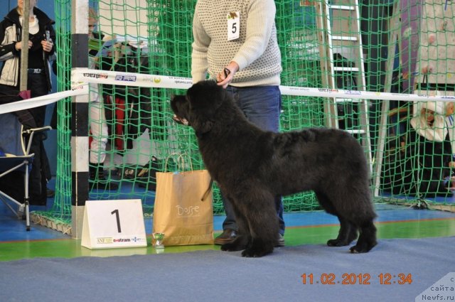 Фотография № 87468