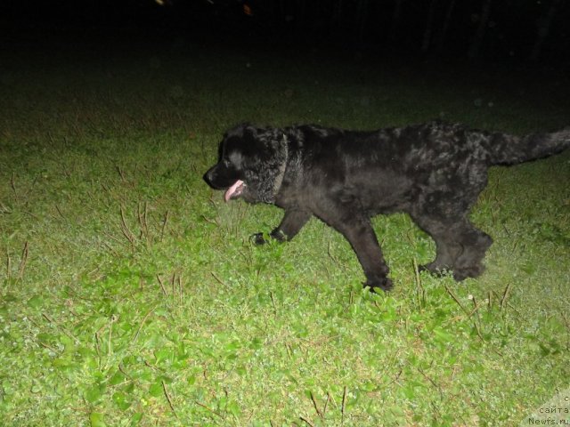 Фотография № 87500