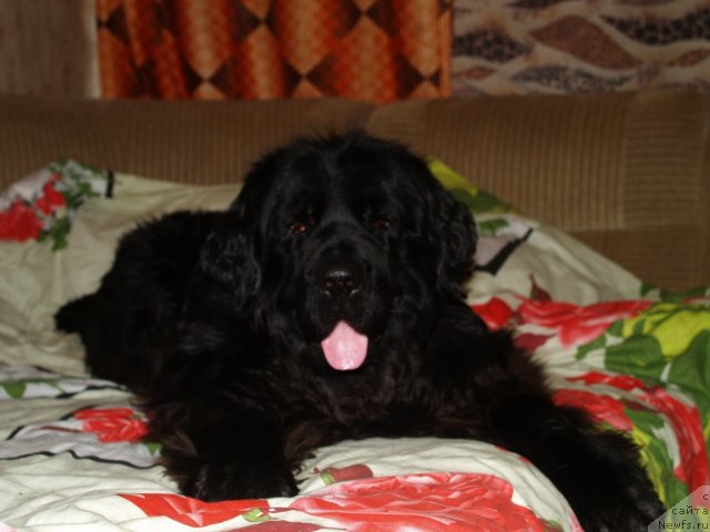 Фотография № 87503