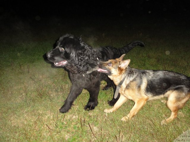 Фотография № 87504