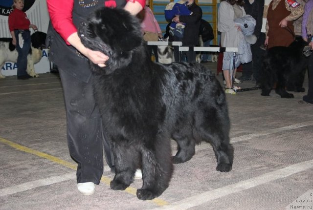 Фотография № 87505