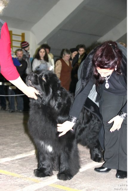 Фотография № 87508