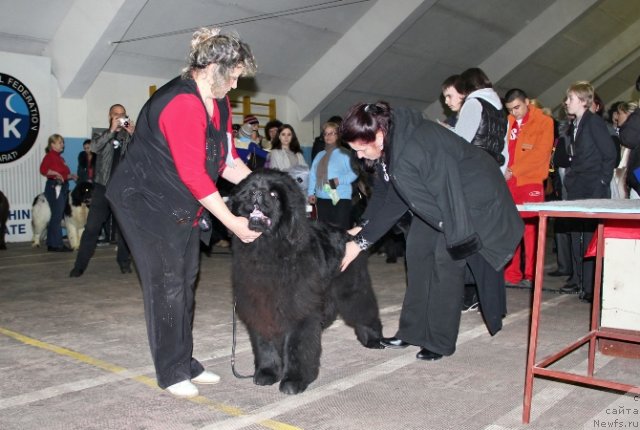 Фотография № 87509