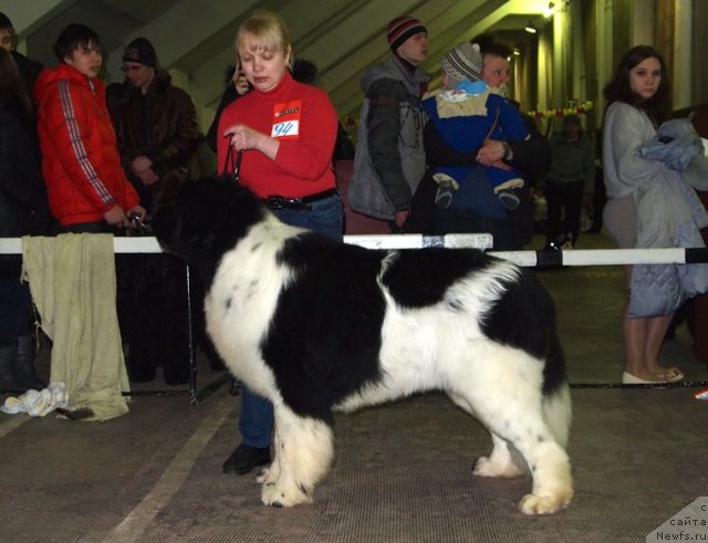 Фотография № 87527