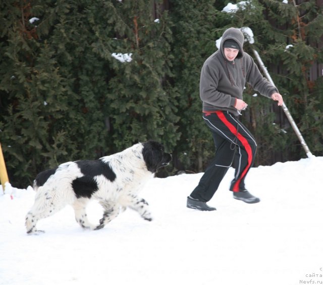 Фотография № 87538