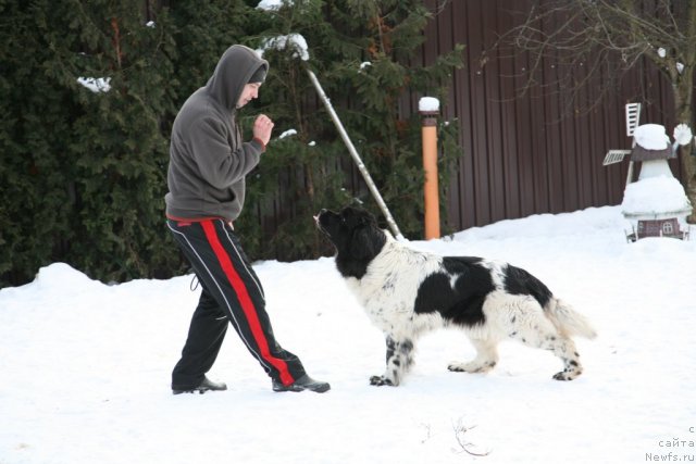 Фотография № 87539