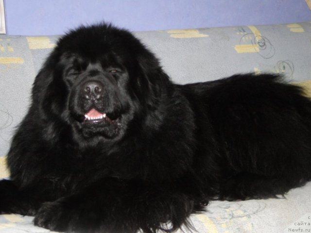 Фотография № 87557