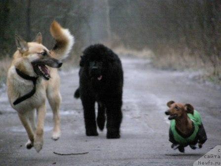 Фотография № 8756