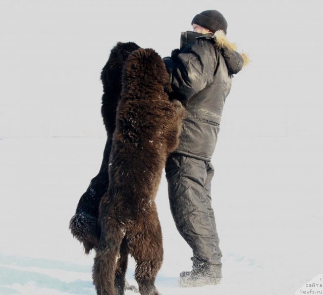 Фотография № 87599