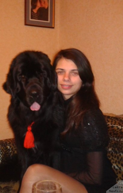 Фото: ньюфаундленд Лесли-Сиа Фловер (Leslley-Sia Flover), Марина Полевик