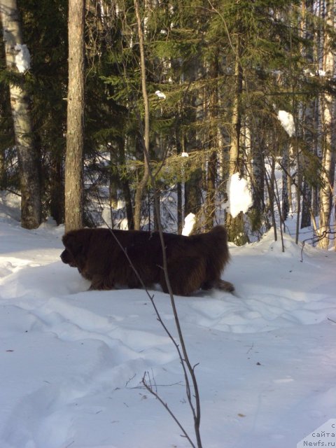 Фотография № 87684