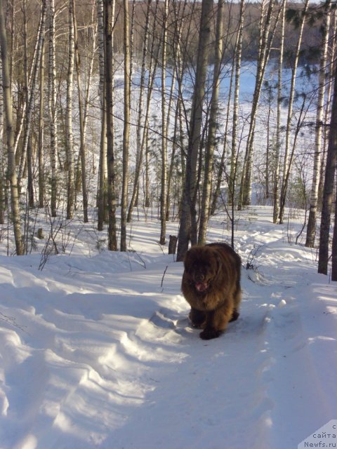 Фотография № 87685