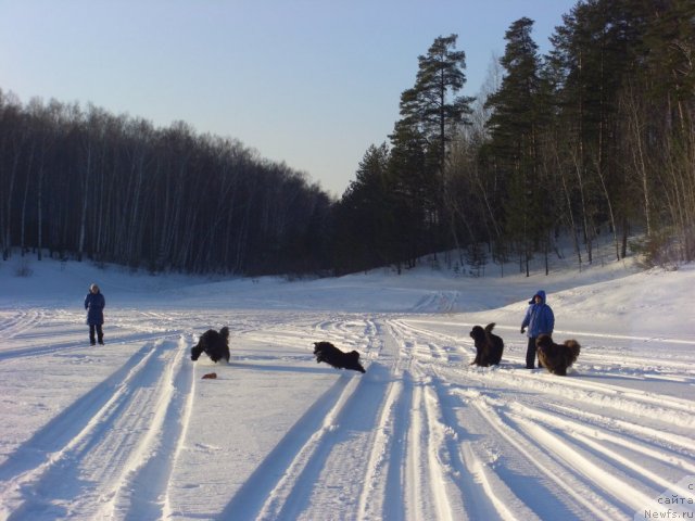 Фотография № 87687